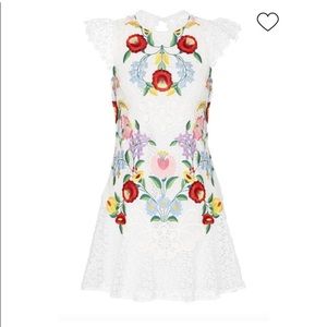 Saylor embroidered lace dress size small